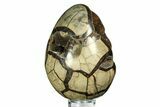 Septarian Dragon Egg Geode - Sparkly Black Crystals #308831-2